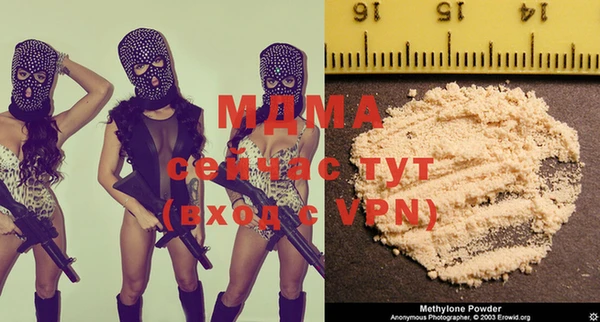 индика Березники