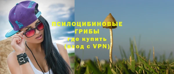 a pvp Магадан