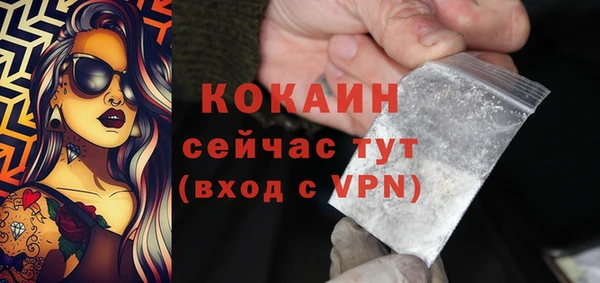 молекула духа Абинск