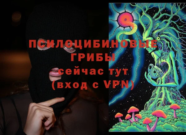 дурь Магас